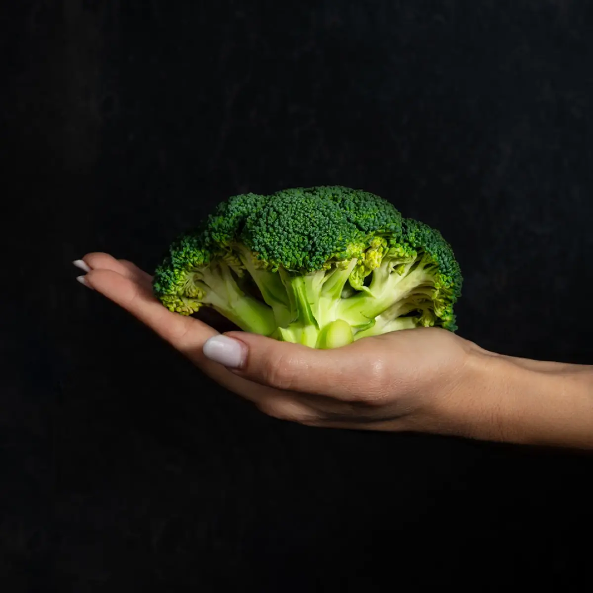 La materia prima di Sabìa