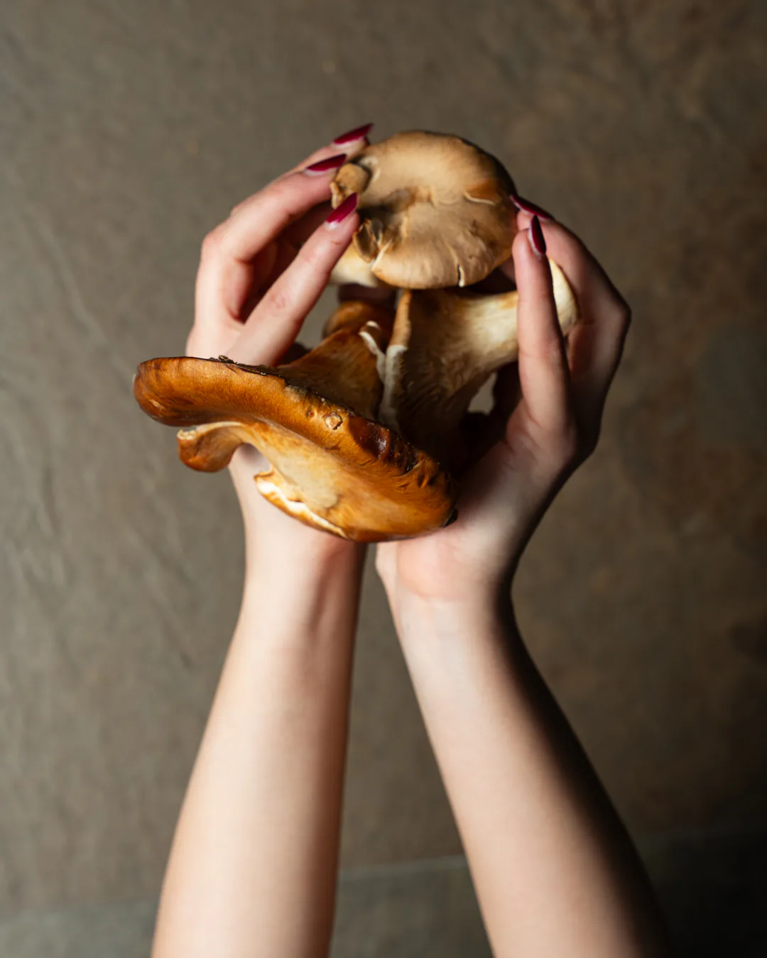 I funghi freschi nelle mani della cucina di Sabìa
